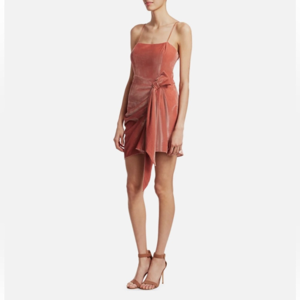 Cinq a Sept Kiki Velvet Mini Dress in Rosewood